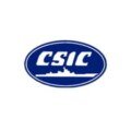 China Shipbuilding Industry Corporation (CSIC)