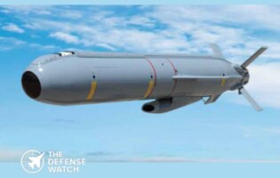 Delilah Cruise Missile