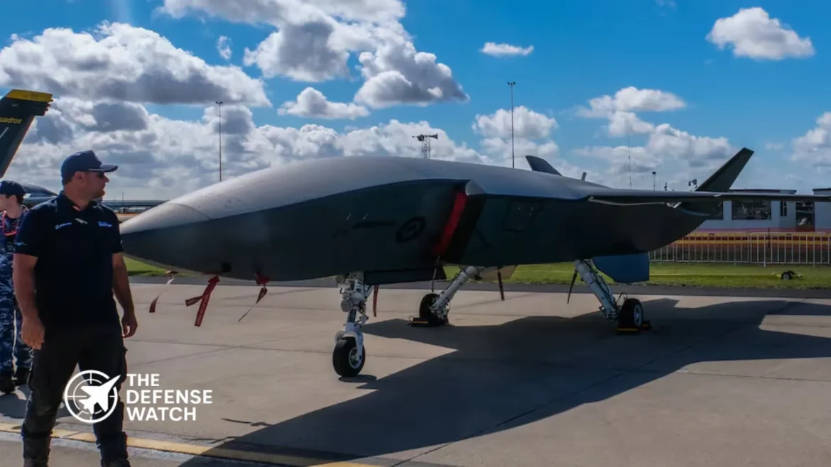 Ghost Bat buddy drones