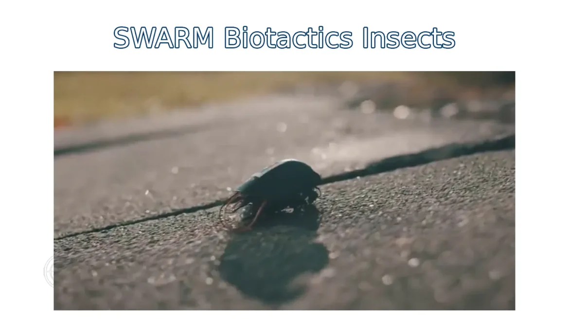SWARM Biotactics Insects