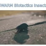 SWARM Biotactics Insects