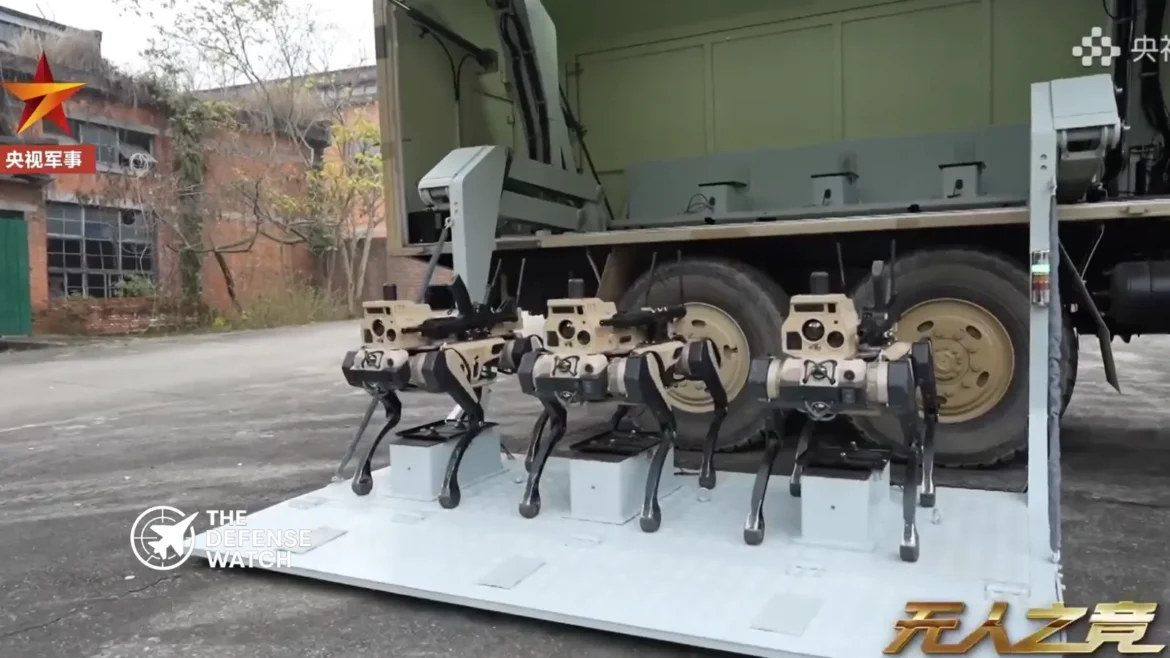 China robot wolf pack system