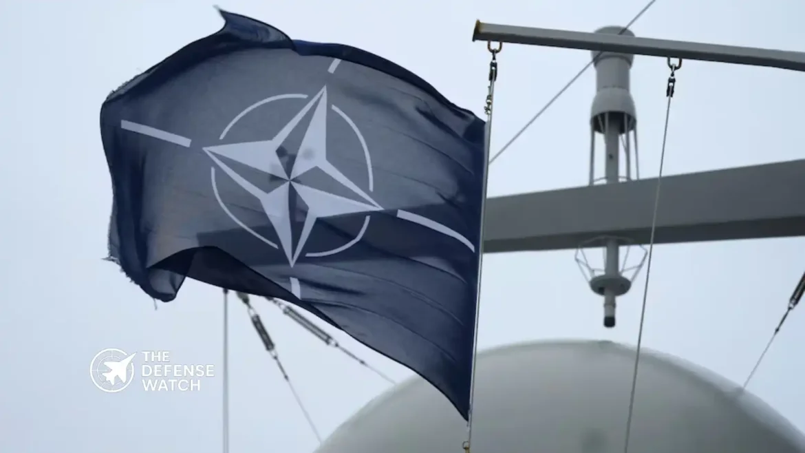 Estonia NATO defense