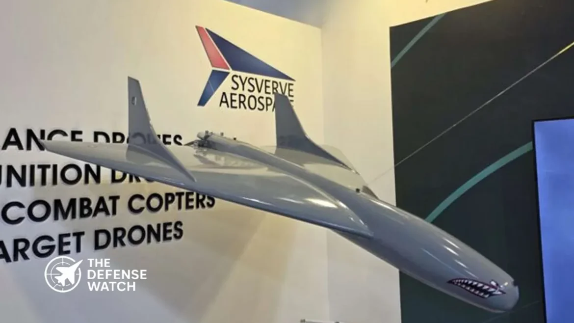 Pakistan Mudamir LR drone