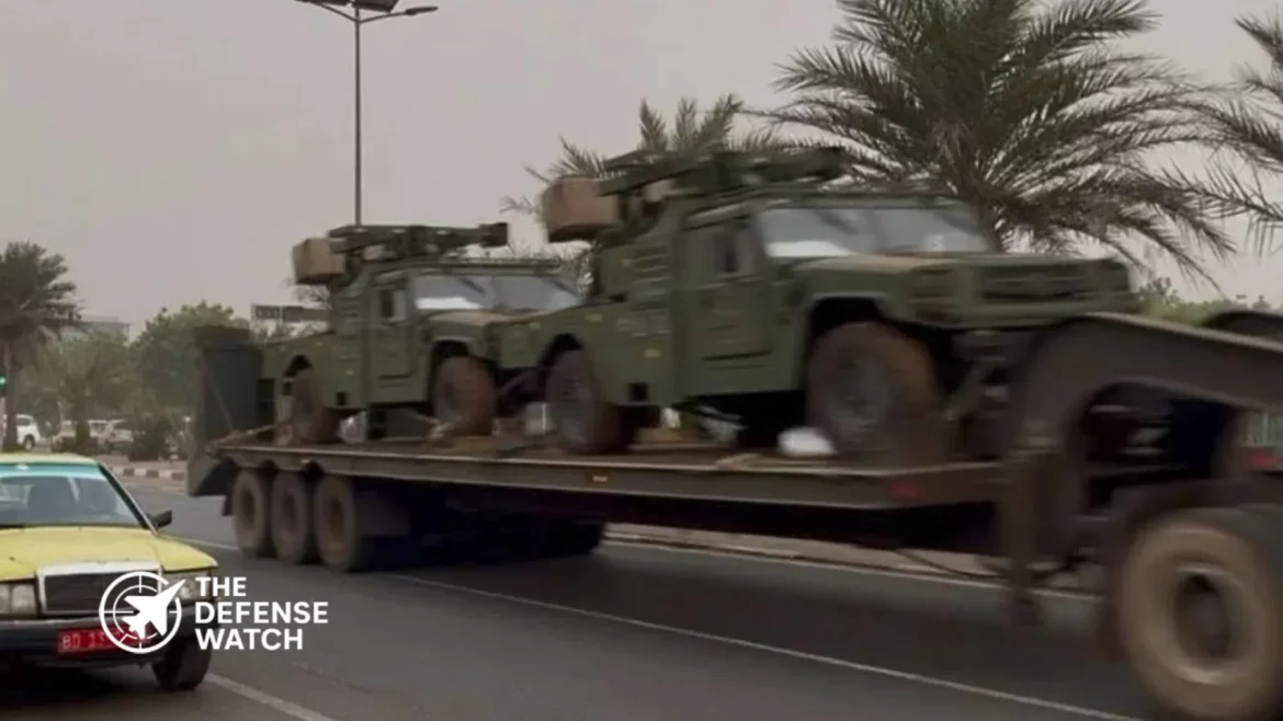 Mali Yitian-L air defense system