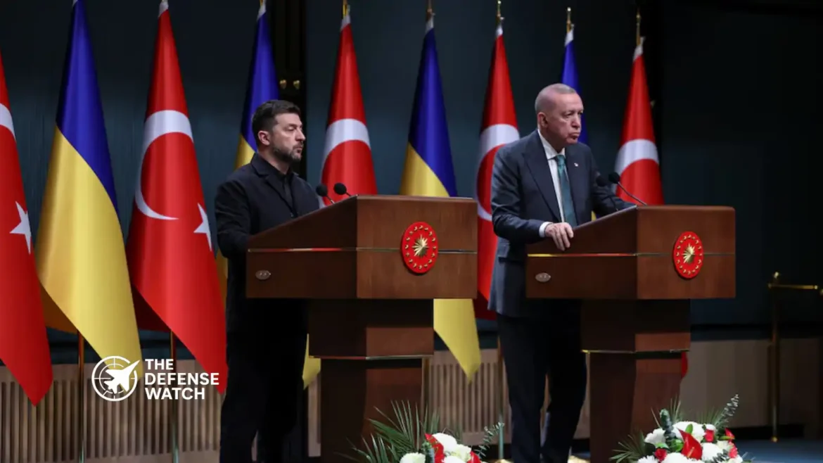 Zelenskiy Erdogan Istanbul talks