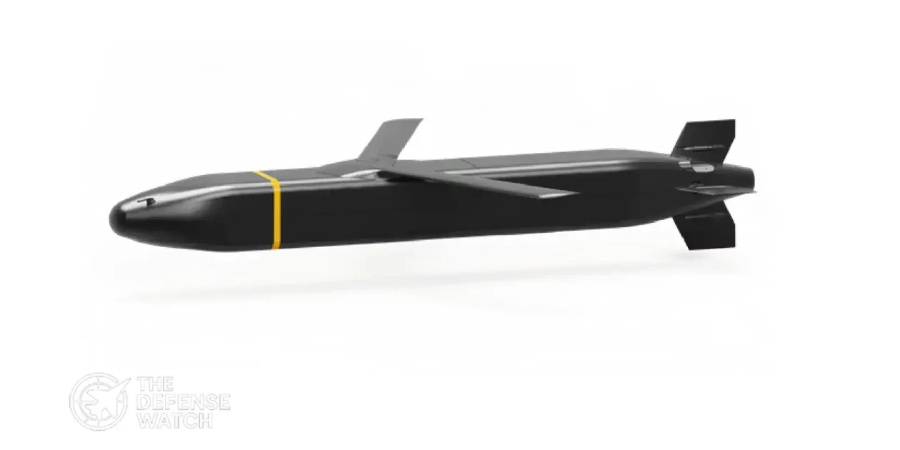 Barracuda Cruise Missile
