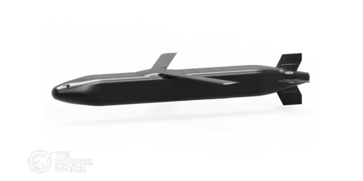 Barracuda Cruise Missile