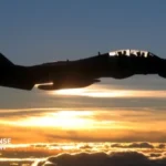 F-14 Tomcat restoration