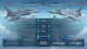 F-16 Fighting Falcon vs. JF-17 Thunder: Complete Fighter Jet Comparison