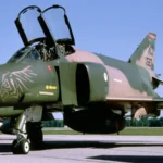 Operation Mole Cricket 19