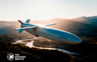 SQUALL Cruise Missile